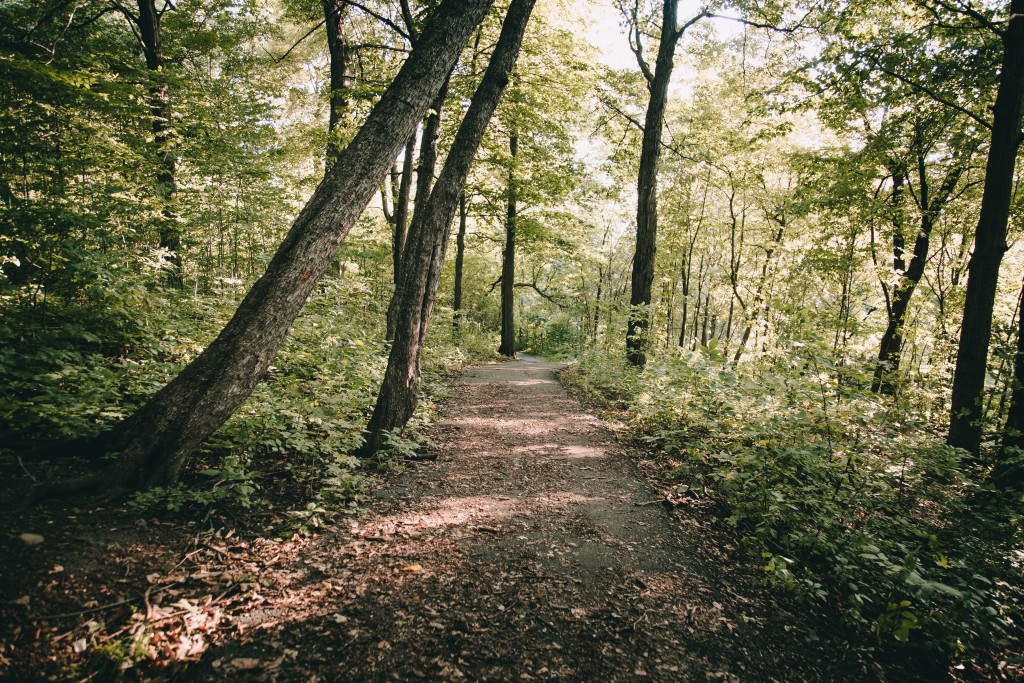 jamshed-khedri-qazeuk4nc-4-unsplash.jpg